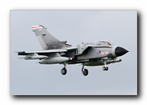 Waddo2012_ (34)